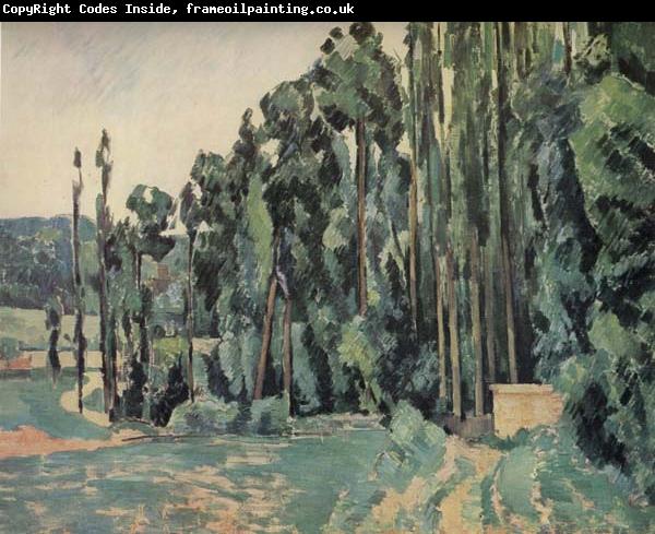 Paul Cezanne The Poplars